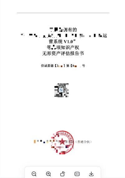 无形资产评估报告产品示例