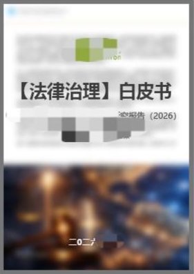 白皮书产品示例
