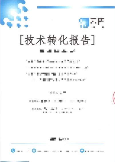 技术转化报告产品示例