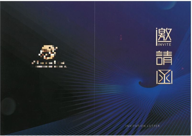 会议演讲/论坛发言产品示例