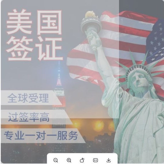 美国律所代递交产品示例